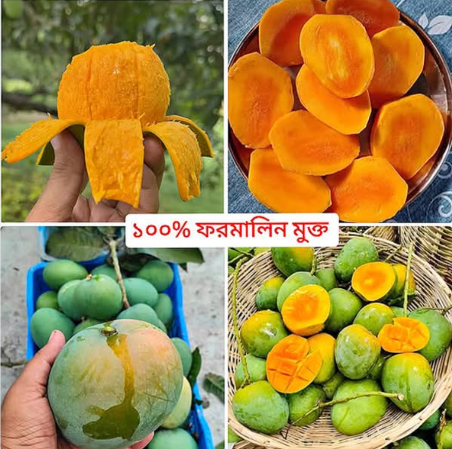 10Kg Himsagor Mango🥭 (Satkhira)